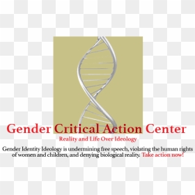 Gender Png, Transparent Png - gender png