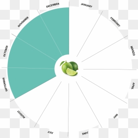Bio Limes Production Calendar - Circle, HD Png Download - limes png