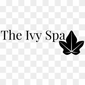 The Ivy Spa - Calligraphy, HD Png Download - ivy texture png