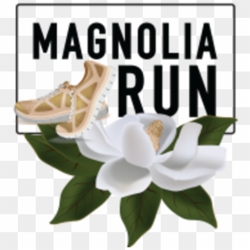 Magnolia Springs, Al - Jasmine, HD Png Download - magnolia png