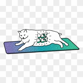 Dat Mat Fat Cat Naming Contest, HD Png Download - fat cat png