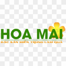 Hoa Mai Hoa Mai - Openmp, HD Png Download - vietnam png
