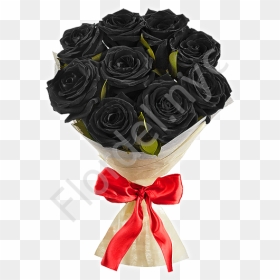 Black Roses With Red Bow - Garden Roses, HD Png Download - black flowers png