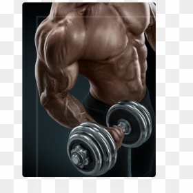 Bodybuilding Stock, HD Png Download - body builder png