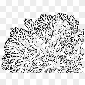 Coral Reefs Black And White Clipart Png, Transparent Png - reef png