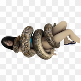 Snake Giant Anaconda Digital Art - Png Anaconda Snake, Transparent Png - anaconda png