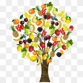 To Welcome All My New Followers And To Connect With - Fruit Tree Image Clipart, HD Png Download - frutas y verduras png