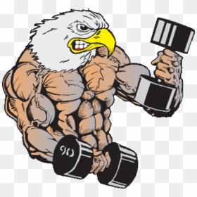 Body Builder Eagle - Muscle Eagle, HD Png Download - body builder png