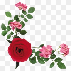 Flores Para Decorar Tarjetas, HD Png Download - vintage roses png