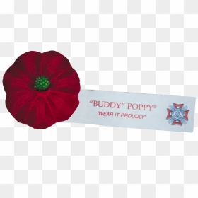 Veterans & Family Support - Poppy, HD Png Download - princess poppy png