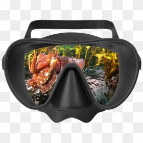 Cuttle - Meat, HD Png Download - reef png