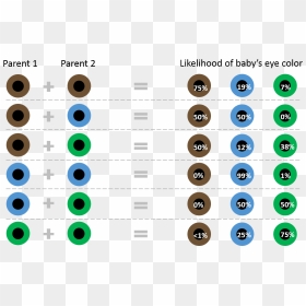 Note That This Chart Only Takes Into Account Parents’ - Eye Color Chart, HD Png Download - green eyes png