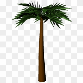 Ship And Palm Tree - 3d Palm Tree Png, Transparent Png - palmtree png