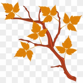 Plane-tree Family, HD Png Download - thanksgiving png images