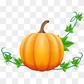 Pumpkin Png - Pumpkin Fall Clip Art, Transparent Png - thanksgiving png images