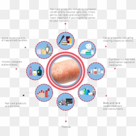 Circle, HD Png Download - stop hand png
