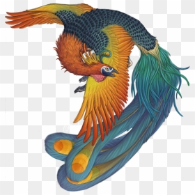 Phoenix Bird Harry Potter - Fenghuang Creature, HD Png Download - phoenix bird png