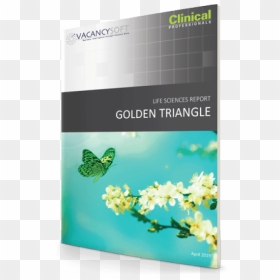 Book Cover, HD Png Download - gold triangle png