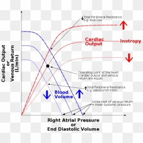 Heart Failure Frank Starling Mechanism, HD Png Download - rap png