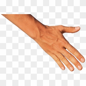 Transparent Helping Hand Png - Arm Hand Transparent Png, Png Download - helping hand png