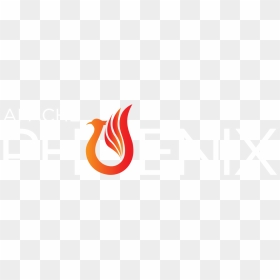 Phoenix Bird White - Graphic Design, HD Png Download - phoenix bird png