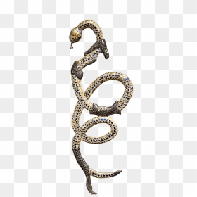 Cobra Clipart Anaconda - Snake Shedding Skin Drawing, HD Png Download - anaconda png