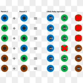 Eyes Color Calculator, HD Png Download - green eyes png