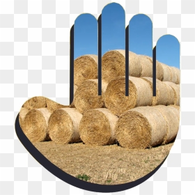 Wood, HD Png Download - helping hand png