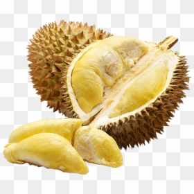Exoctic Fruit, HD Png Download - durian png