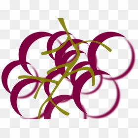 Grapes Clipart Vineyard Border - Drawings Of Grape Cluster, HD Png Download - wine splash png