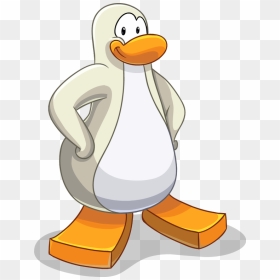 Pingouins Blancs Pingouins Blancs Pingouins Blancs - Club Penguin Penguin Base, HD Png Download - base png