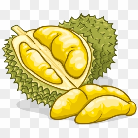 Durian - Durian Png, Transparent Png - durian png