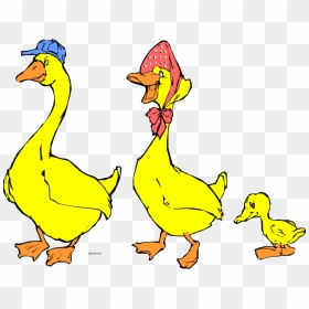 Duck Family Clipart, HD Png Download - family clipart png