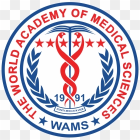 World Academy Of Medical Sciences, HD Png Download - oscar award png