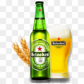 Beer World Store - Heineken Vector, HD Png Download - heineken bottle png