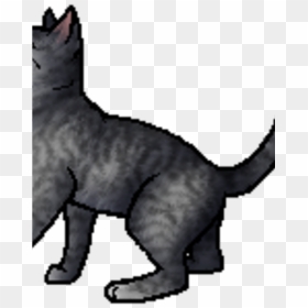 Logo-starclan - Warriors, HD Png Download - green eyes png