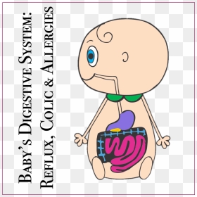 Baby"s Digestive System & Reflux - Digestive System Cartoon, HD Png Download - digestive system png
