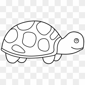 Black And White Turtle Drawings - Turtle Clipart Black And White Png, Transparent Png - turtle clipart png