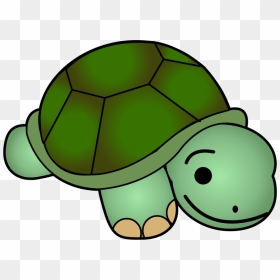 Cute Turtle Clip Art Free Clipart Images - Clipart Image Of A Turtle, HD Png Download - turtle clipart png