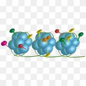 Transparent Studying Png - Radiation Therapy, Png Download - studying png