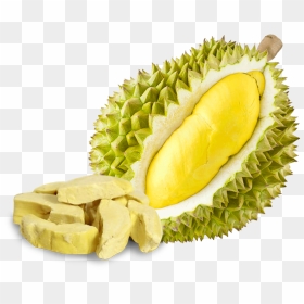Durian Alibaba , Png Download - Durian Png, Transparent Png - durian png