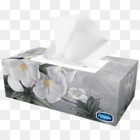 Tissue Paper Box Png , Png Download - Tissue Paper, Transparent Png - tissue png