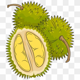 Three Durian Clipart - Durian Clipart, HD Png Download - durian png