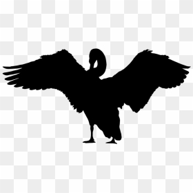 Silhouette Holy Spirit Vector Graphics Clip Art - Euroopan Villit Kortit Ja Mustat Joutsenet, HD Png Download - dove clipart png