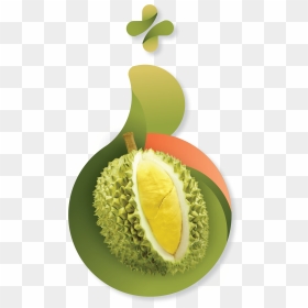 Transparent Durian Png - Durian Png, Png Download - durian png