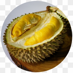 Durian , Png Download, Transparent Png - durian png