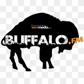 Buffalo Bills 1969 Nfl/afl Draft Detroit Lions - Buffalo Bills Old, HD Png Download - buffalo bills png