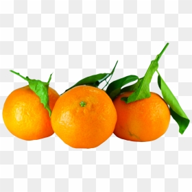 Transparent Ugli Fruit Clipart - Tangerine Png, Png Download - orange fruit png