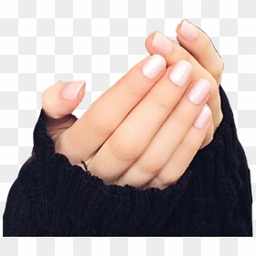 #hand #hands #holding #cupped #tenderhan #caring #precious - Sign, HD Png Download - cupped hands png