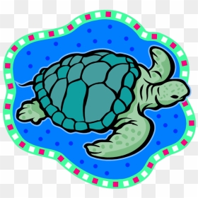 Hawaiian Sea Turtle Clipart Free Images - Χελωνα Καρετα Καρετα, HD Png Download - turtle clipart png
